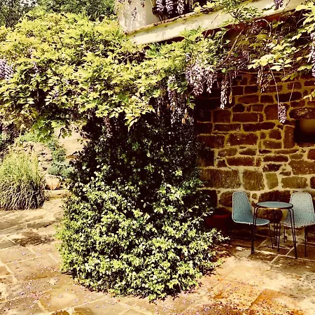 Pippo's Little Resort/2